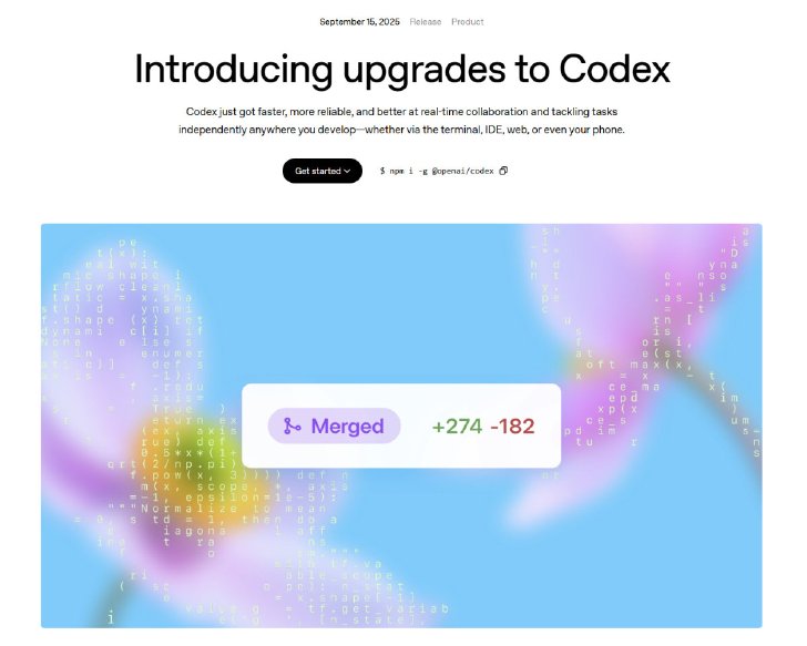  codex 1