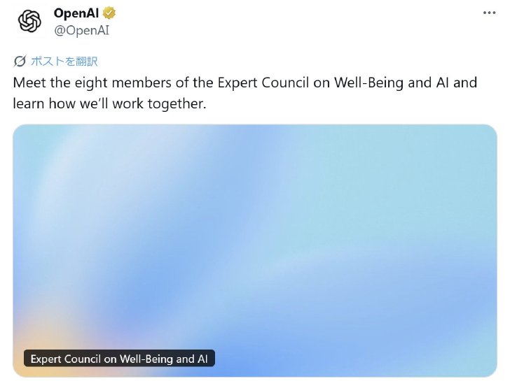  council