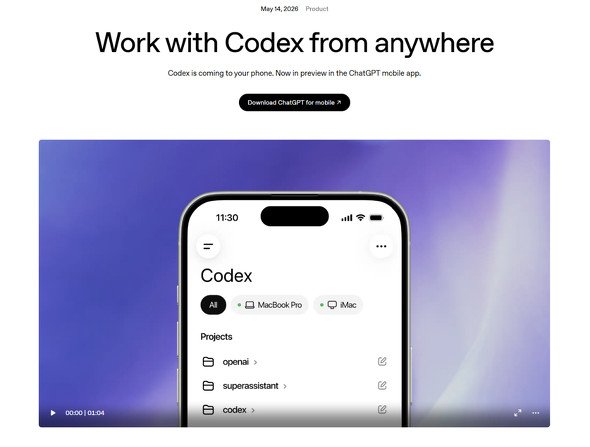  codex 1