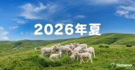 はてな、個人向けフォーラムサービス開始へ　「安心して語り合える場」目指す　開発・運営にはAI活用