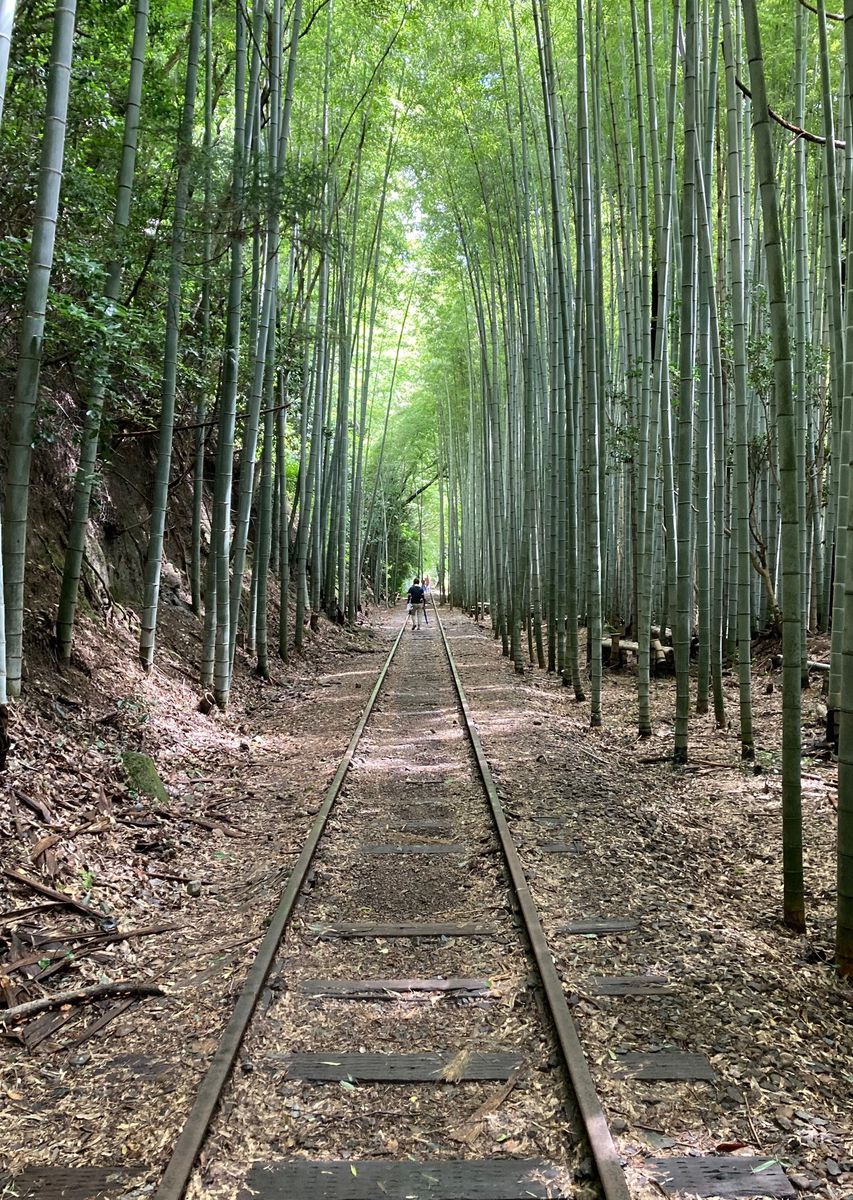 どこにも寄らずに帰る観光客　「日本一美しい廃線跡」：廃線か新線建設か（2/4 ページ）
