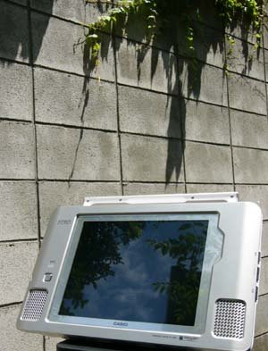 photo