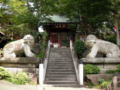 photo