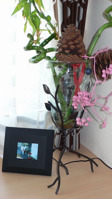 photo