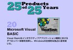 Microsoft Visual Basic