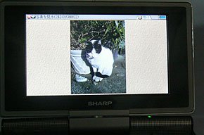 photo