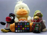 photo