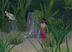 画像