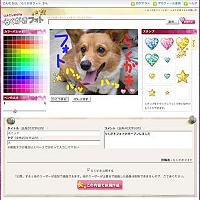画像