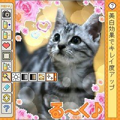 画像