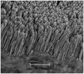 nanorods