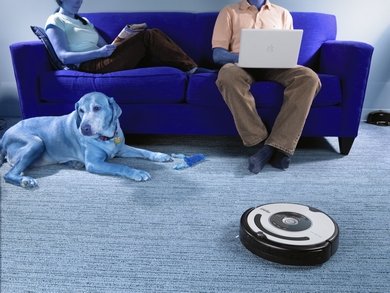Roomba Pet