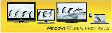 penguin
