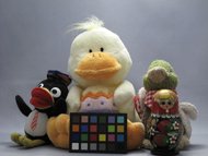 photo