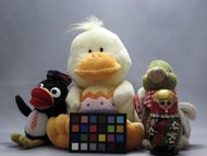 photo