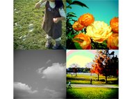 photo