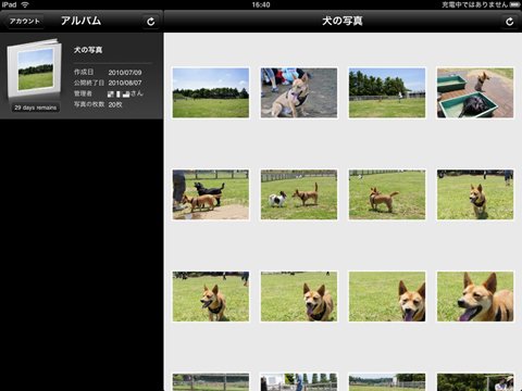 photo