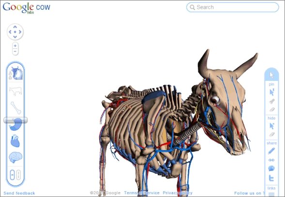  google cow