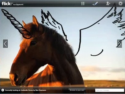  flickr 2