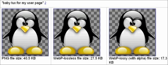  webp