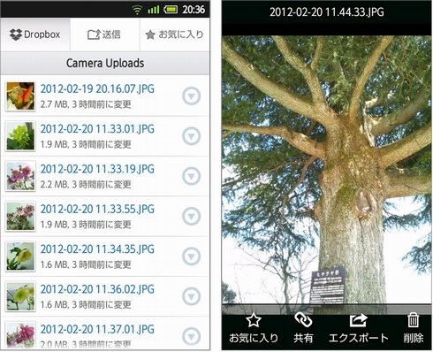  dropbox2