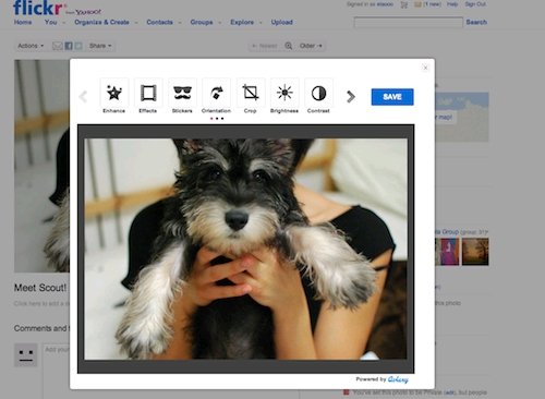  flickr 2