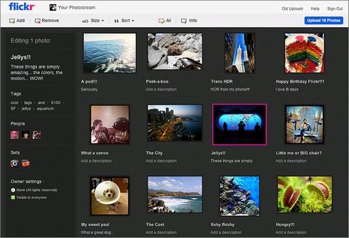  flickr 1