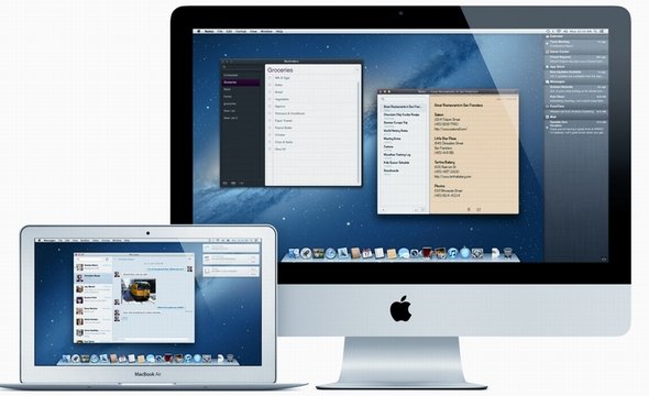  mountain lion