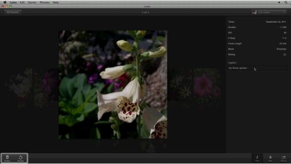  lytro app