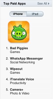  pig 1