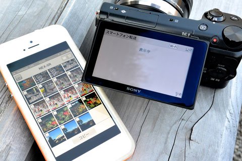 photo