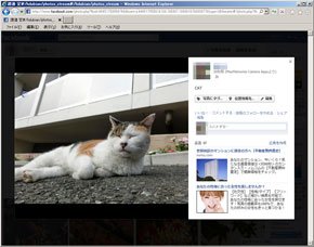 photo