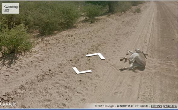  donkey 2