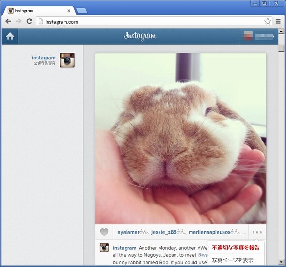  instagram