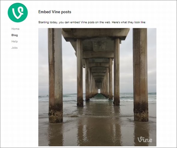  vine 1