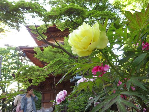 photo
