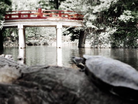photo