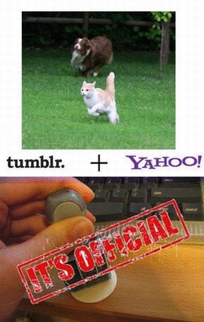  tumblr