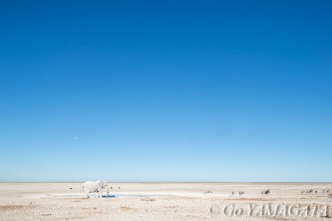 photo
