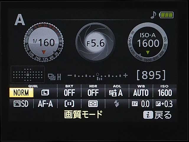 快適なWi-Fi、バリアングル液晶も備えた高機動一眼レフ ニコン「D5300