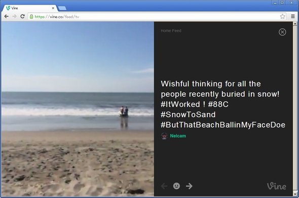  vine 2