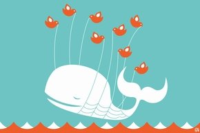  twitter 1