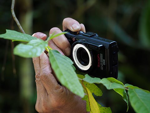 photo