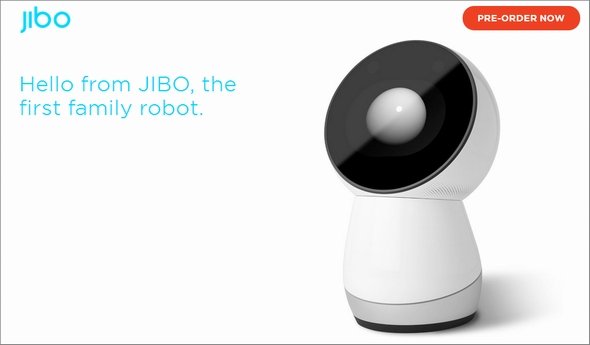  jibo 1