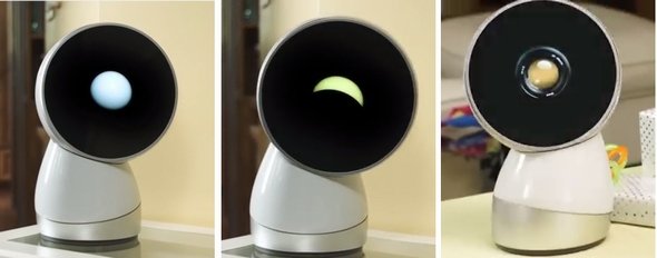  jibo 3