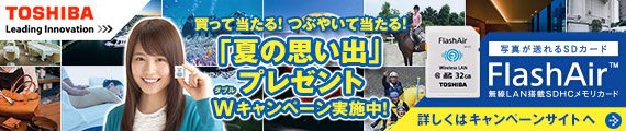 FlashAirキャンペーン