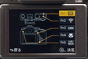 DMC-FZ1000