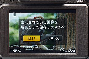 DMC-FZ1000