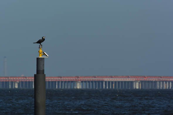 1 NIKKOR VR 70-300mm f/4.5-5.6