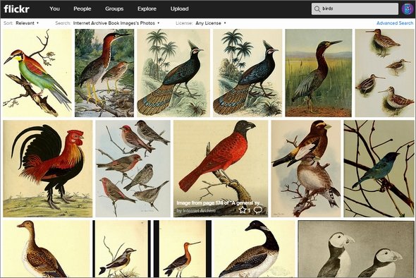  flickr 1